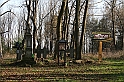 Rostoczek 11.2008 274